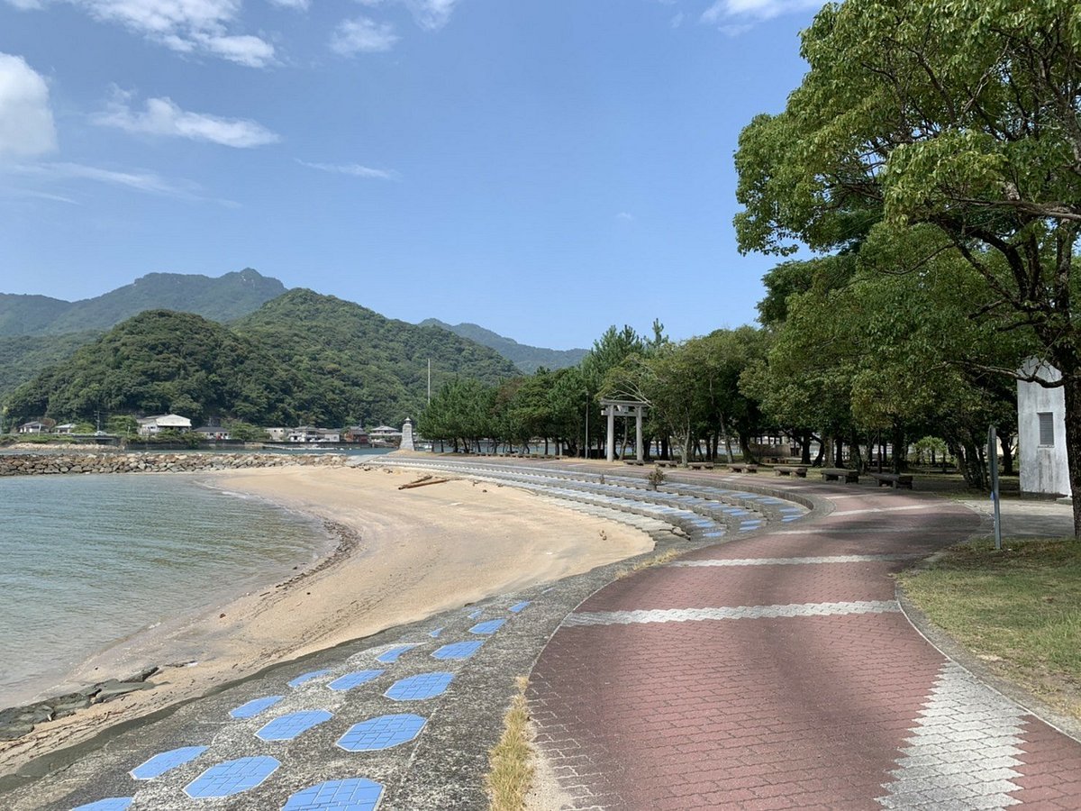 🏞️ 미야즈 해변 공원 (미야즈카이유코엔) 이미지 3